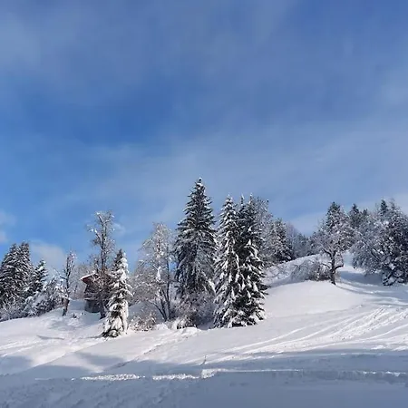Di Charme Apartment Praz-sur-Arly